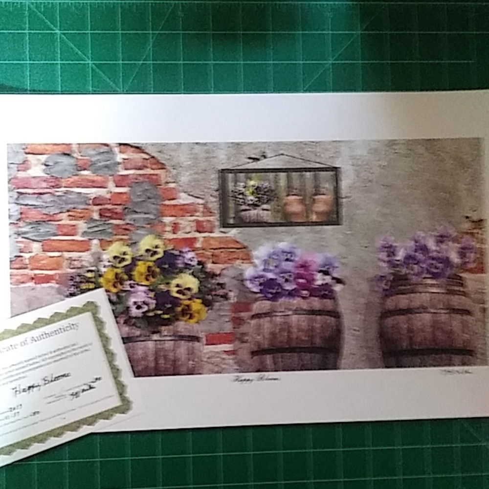 Limited Edition signed and numbered print . - Picture 2 of 2